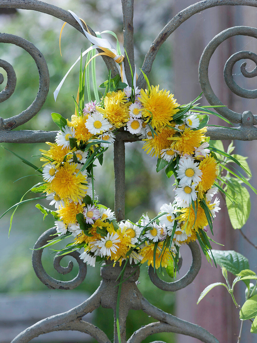 Yellow-white wreath of Taraxacum (dandelion) and Bellis