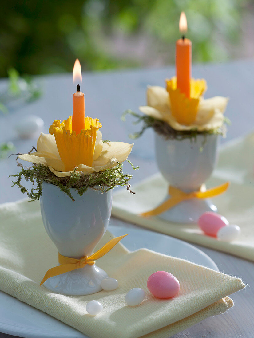 Eierbecher mit Moos und Narcissus (Narzissenblüten) als Kerzenhalter