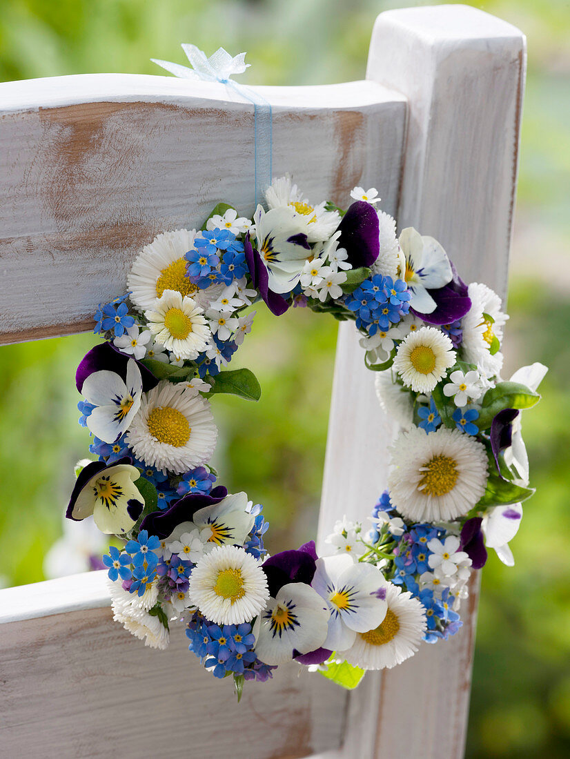 Spring wreath from Bellis, Viola cornuta