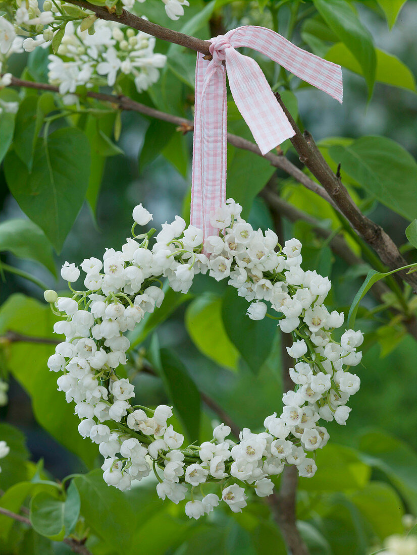 Kleiner Kranz aus Convallaria (Maiglöckchen) an Fliederzweig gehängt