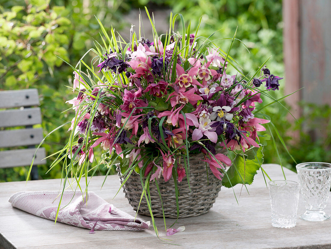 Frühlingsstrauß aus Aquilegia (Akelei), Alchemilla (Frauenmantel)