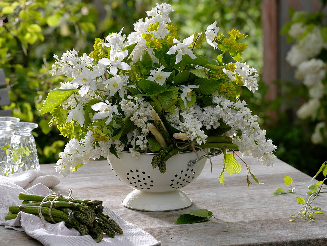 White bouquet from Syringa, Aquilegia, Euphorbia