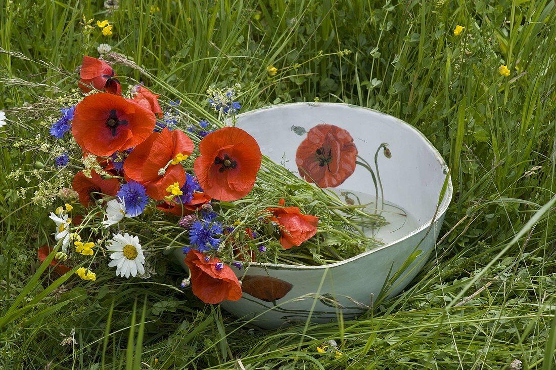 Meadow flowers in cup with poppy-seed decor