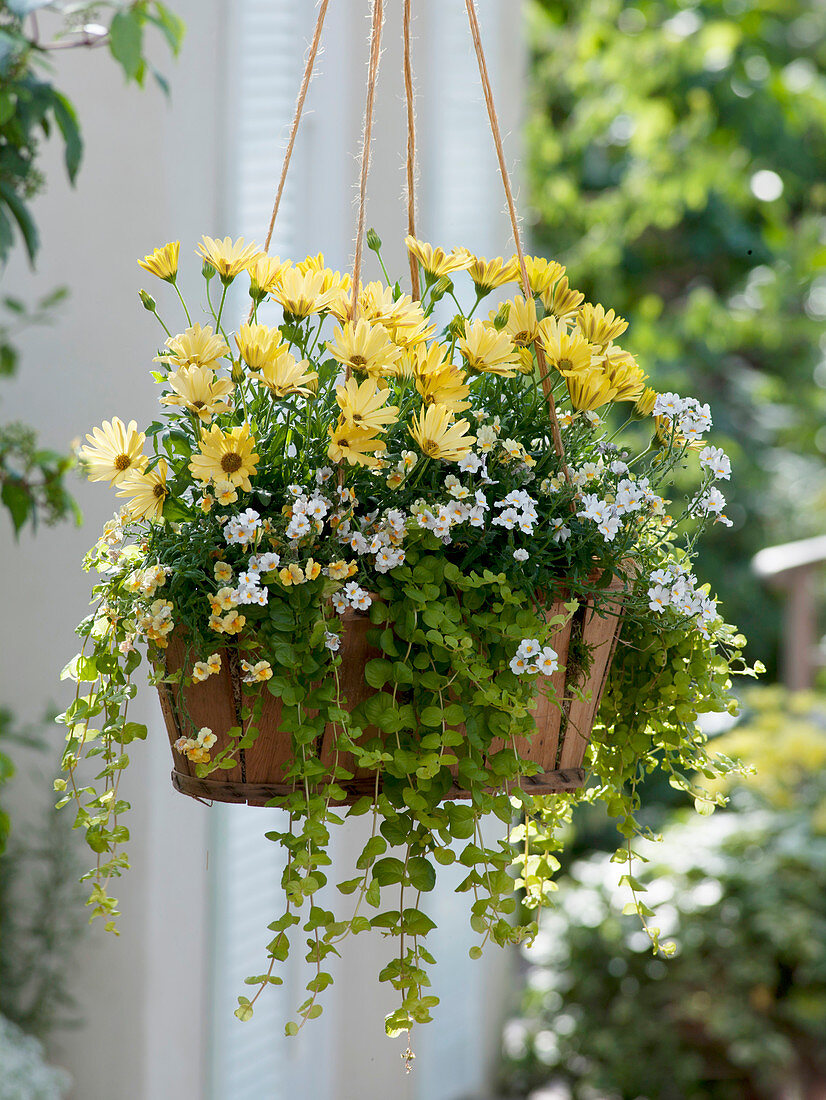 Wooden basket as a flower basket