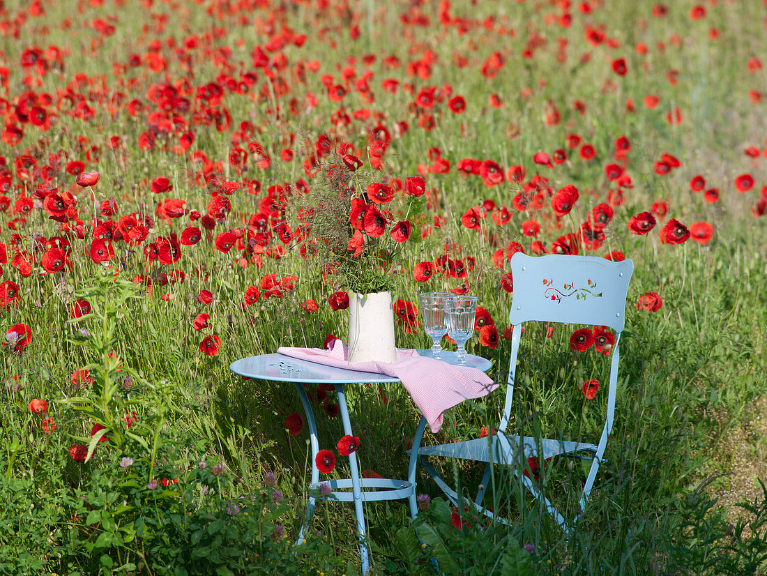 Blue chair and table on poppy field