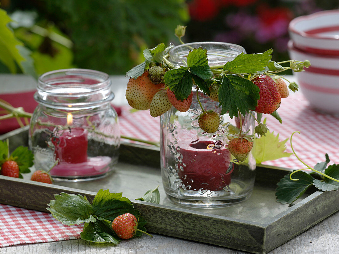 Schraubdeckelgläser mit roten Kerzen als Windlichter, Fragaria (Erdbeeren)