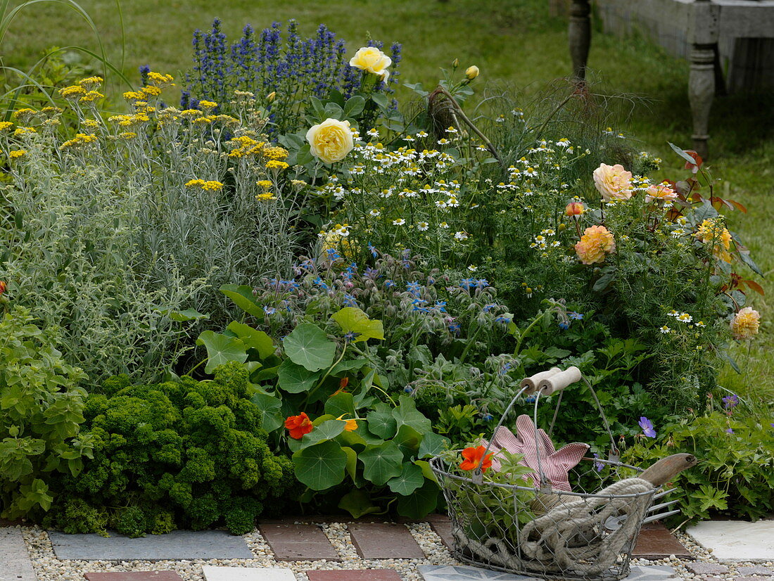 Bed with roses and herbs