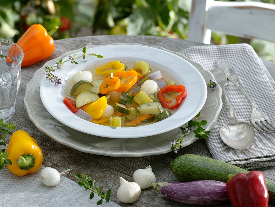 Minestrone (Gemüsesuppe) mit Capsicum (Paprika), Cucurbita (Zucchini)