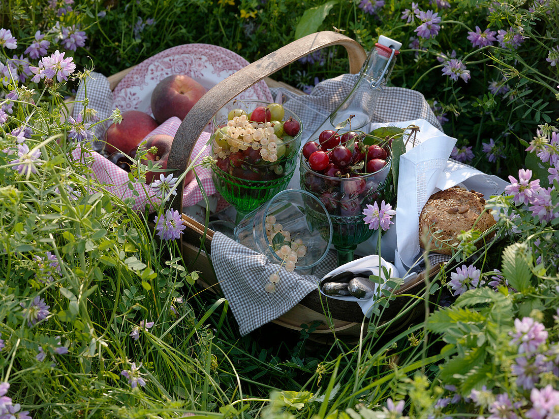 Picknick - Korb mit Obst, Wasser und Brot