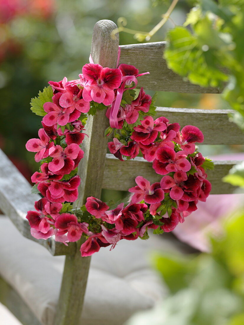 Herz aus Blüten von hellroter Edelgeranie