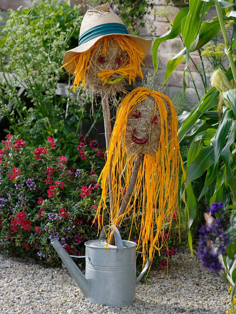 Heads of hay with yellow bastard hair as scarecrows