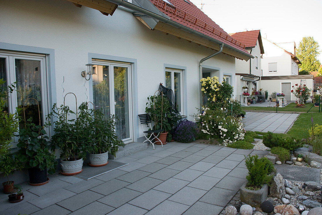 Terrasse am Haus mit Tomaten (Lycopersicon)und Gurken (Cucumis)