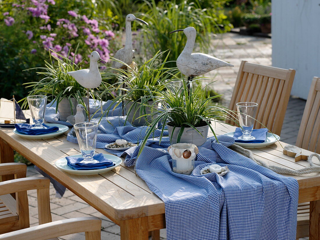 Maritime table decoration with Carex morrowii