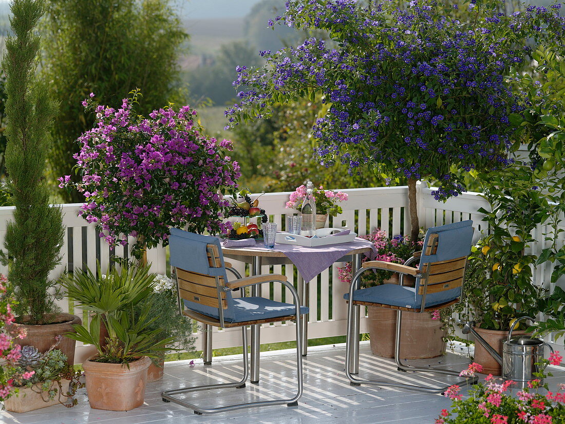 Mediterranean balcony with potted plants