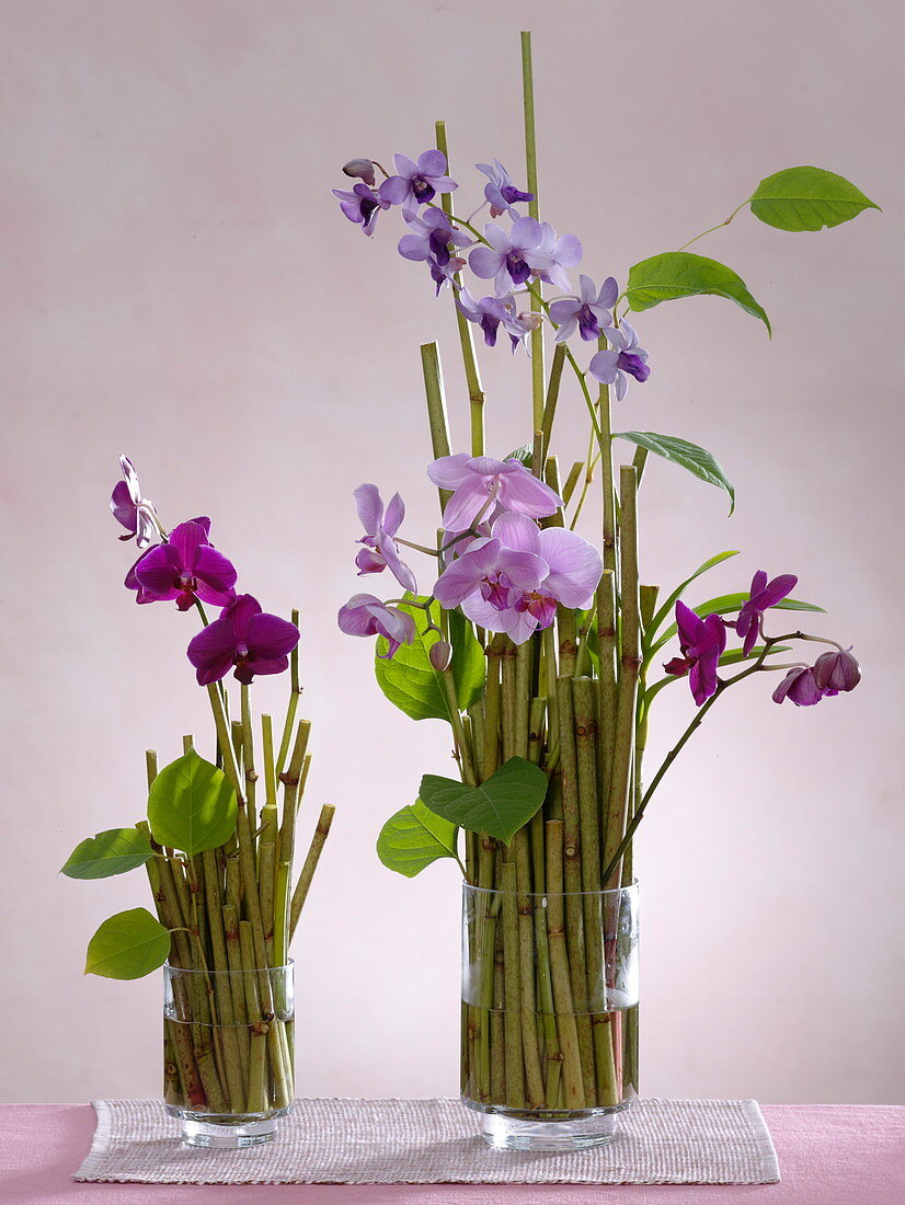 Gestecke aus Orchideen in Glasvasen