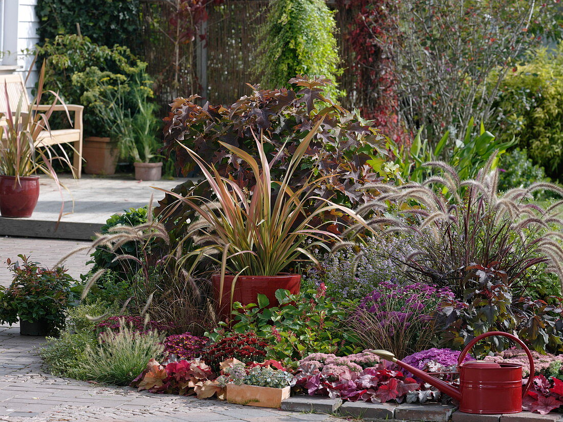 Autumn bed on the wood terrace with phormium and hydrangea