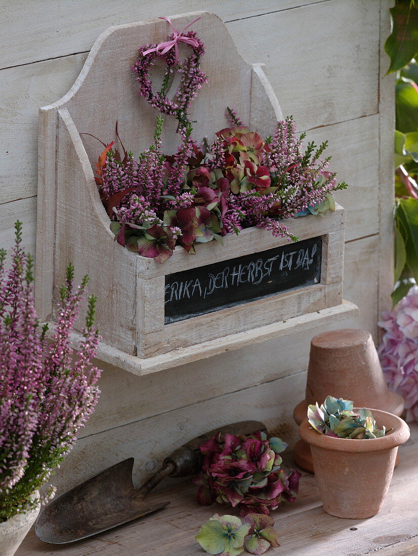 Kleines, weißes Holzregal, gefüllt mit geschnittenen Calluna und Hydrangea