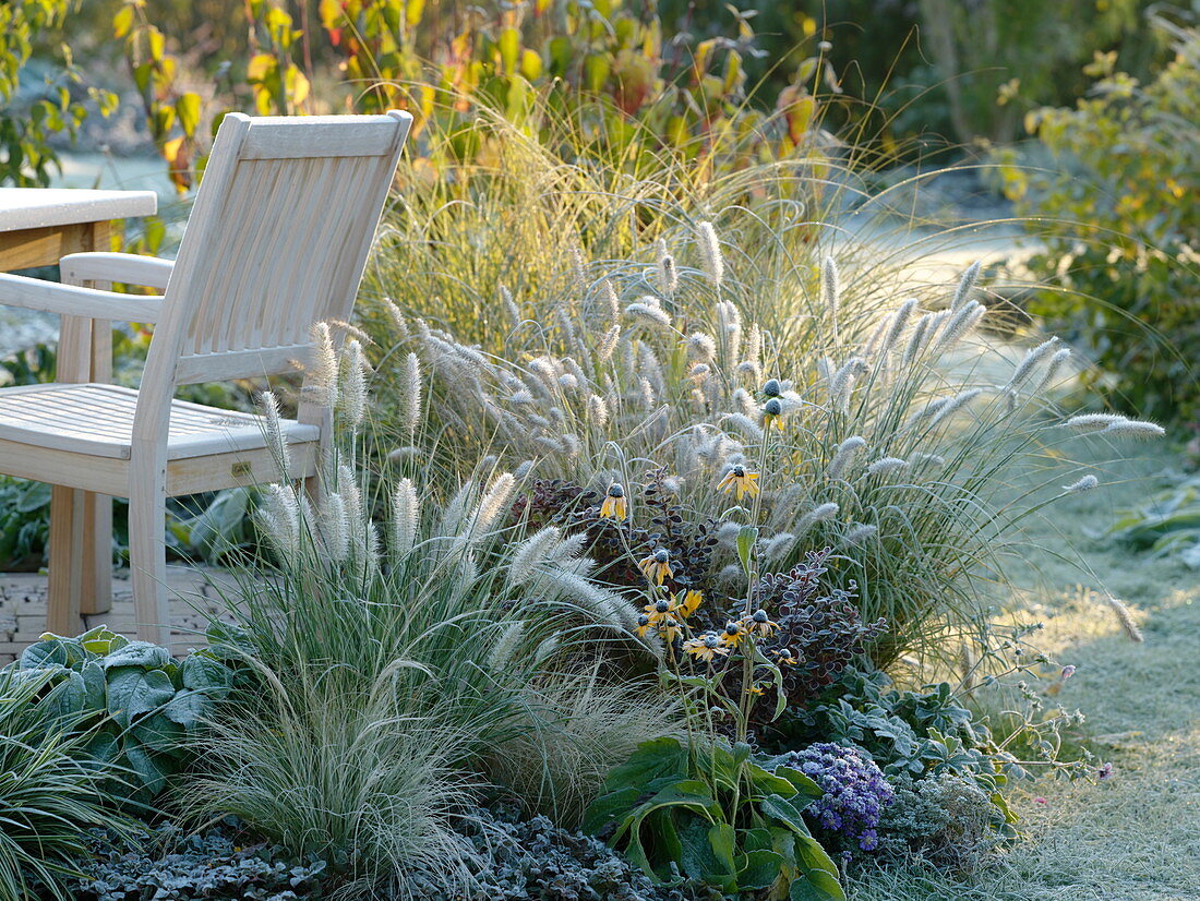 Beet with perennials and grasses in hoarfrost