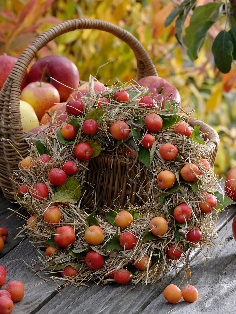 Hay wreath covered with ornamental apples