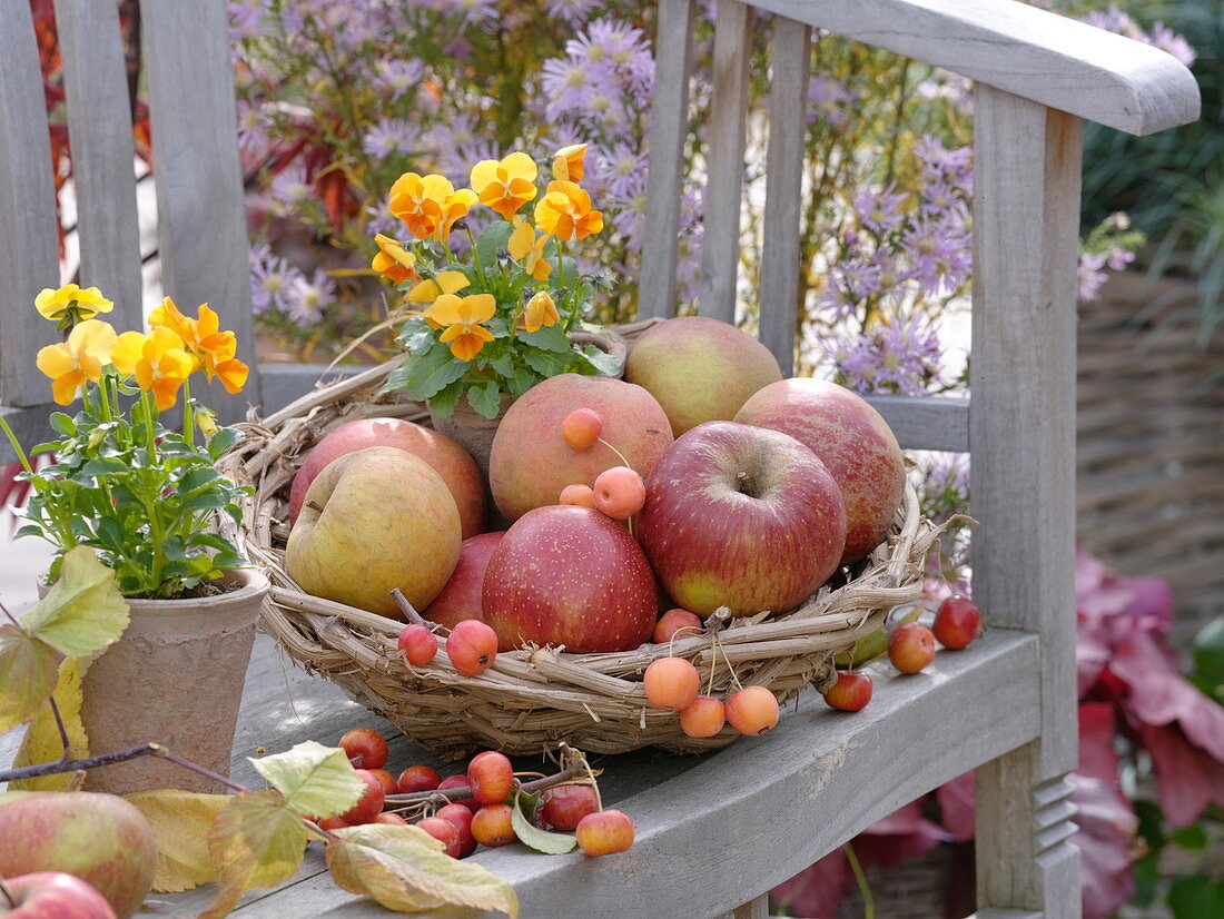 Korb mit Äpfeln und Zieräpfeln auf Holzbank