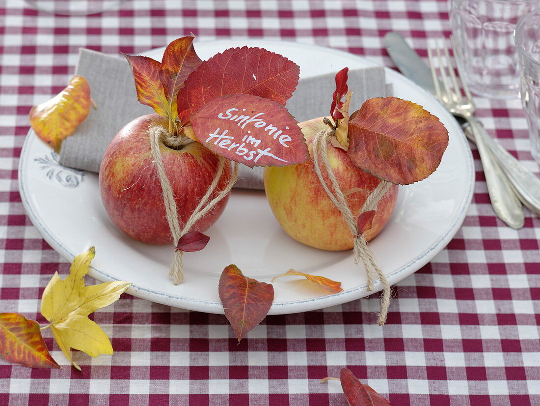 Autumn decoration on white plate