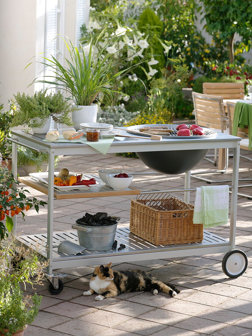 Outdoor kitchen: grilling on the terrace