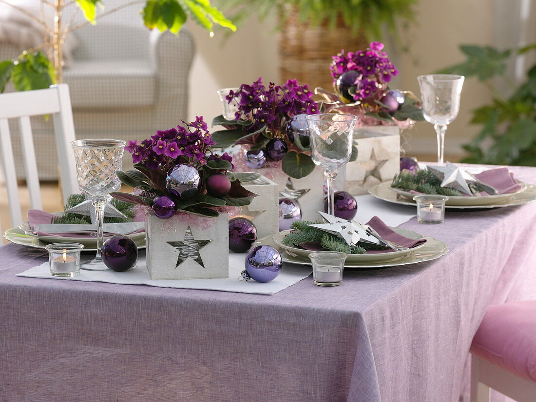 Christmas table decoration with African violets
