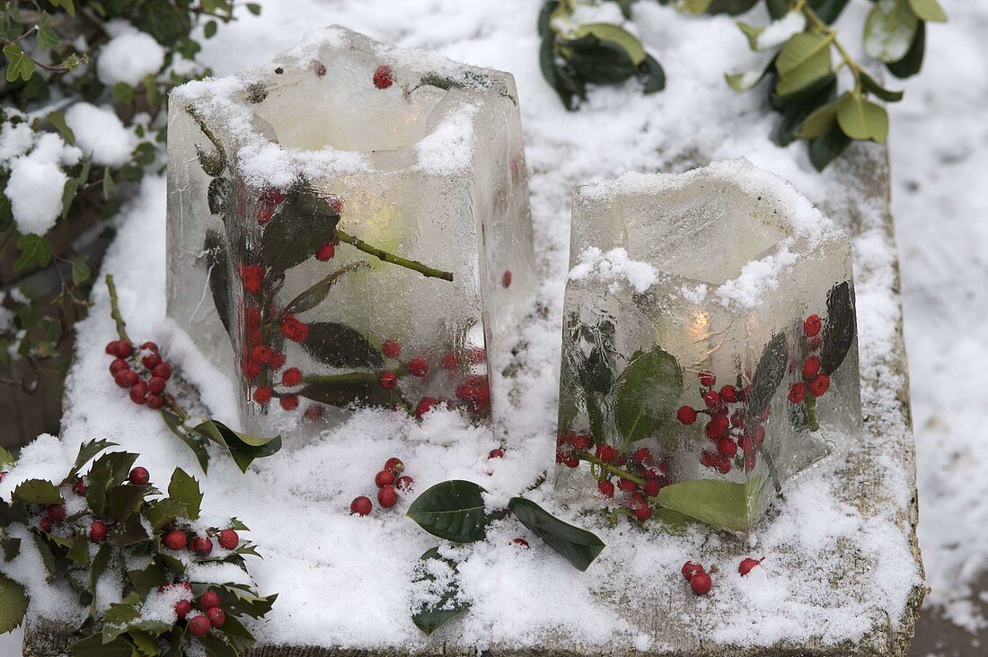 Lantern ice stars with frozen leaves and berries