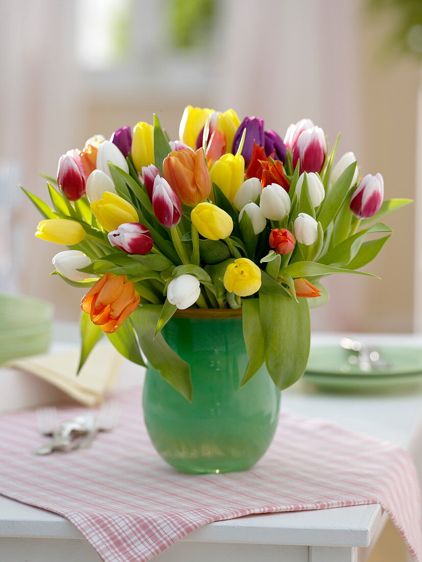 Multi-colored Tulipa bouquet (tulip)