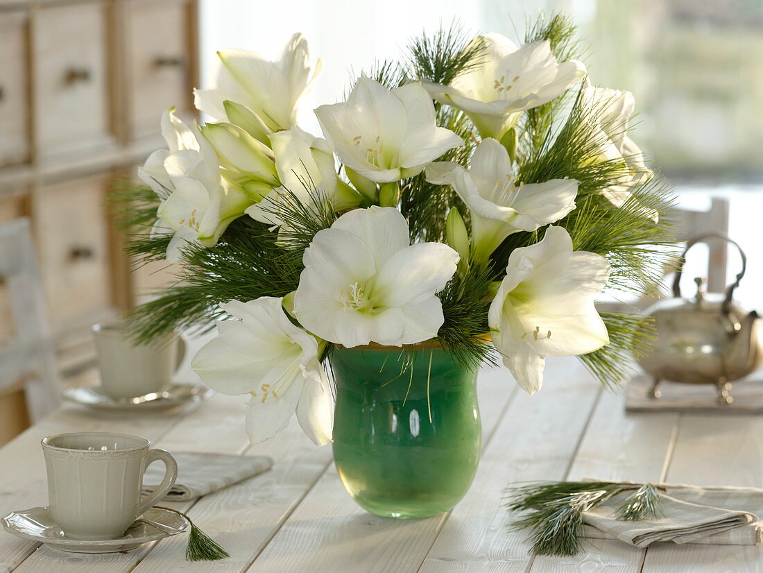 Winterstrauß mit Hippeastrum (Amaryllis) und Pinus (Seidenkiefer)