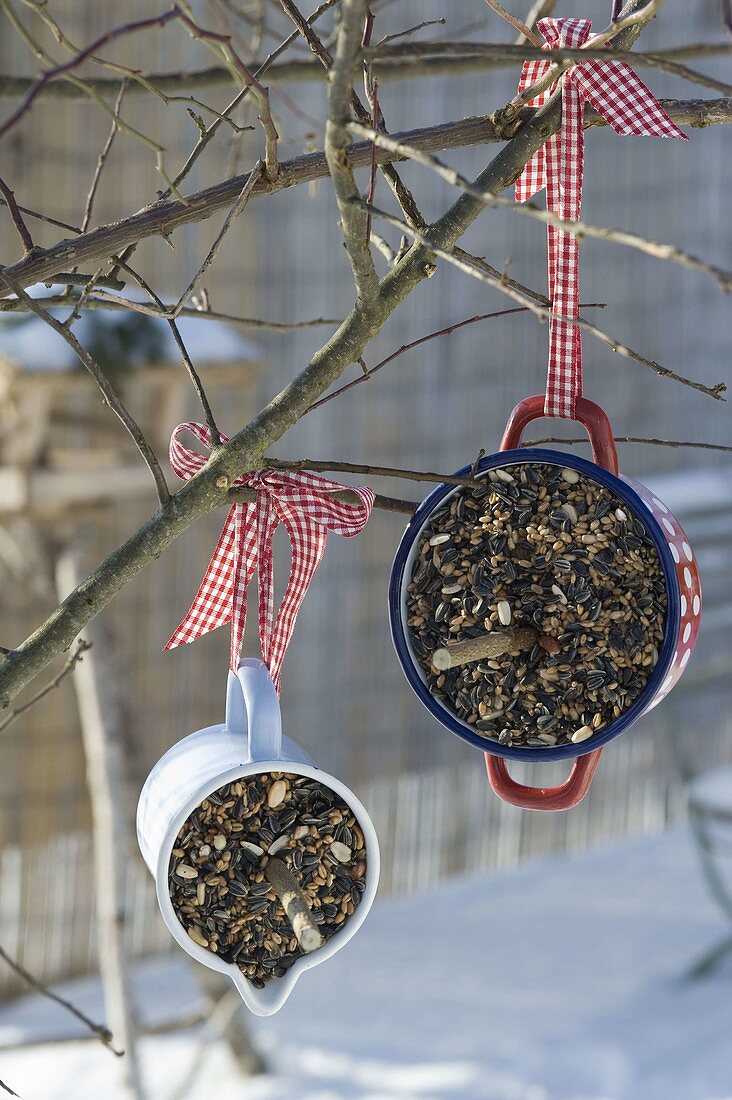 Winter food for birds in enamelled pots