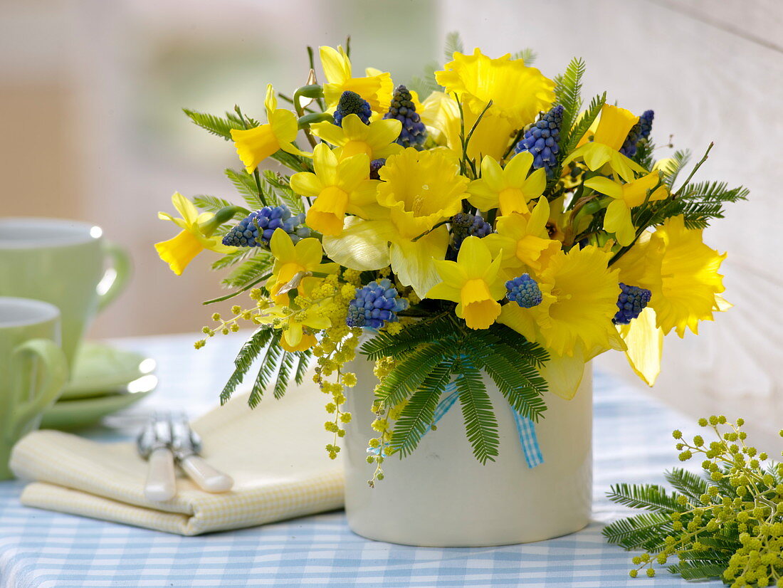 Spring bouquet from Narcissus 'Dutch Master' 'Tete a Tete', Acacia