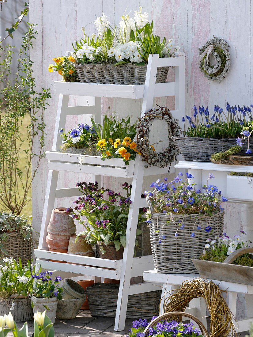 White shelf with spring bloomers