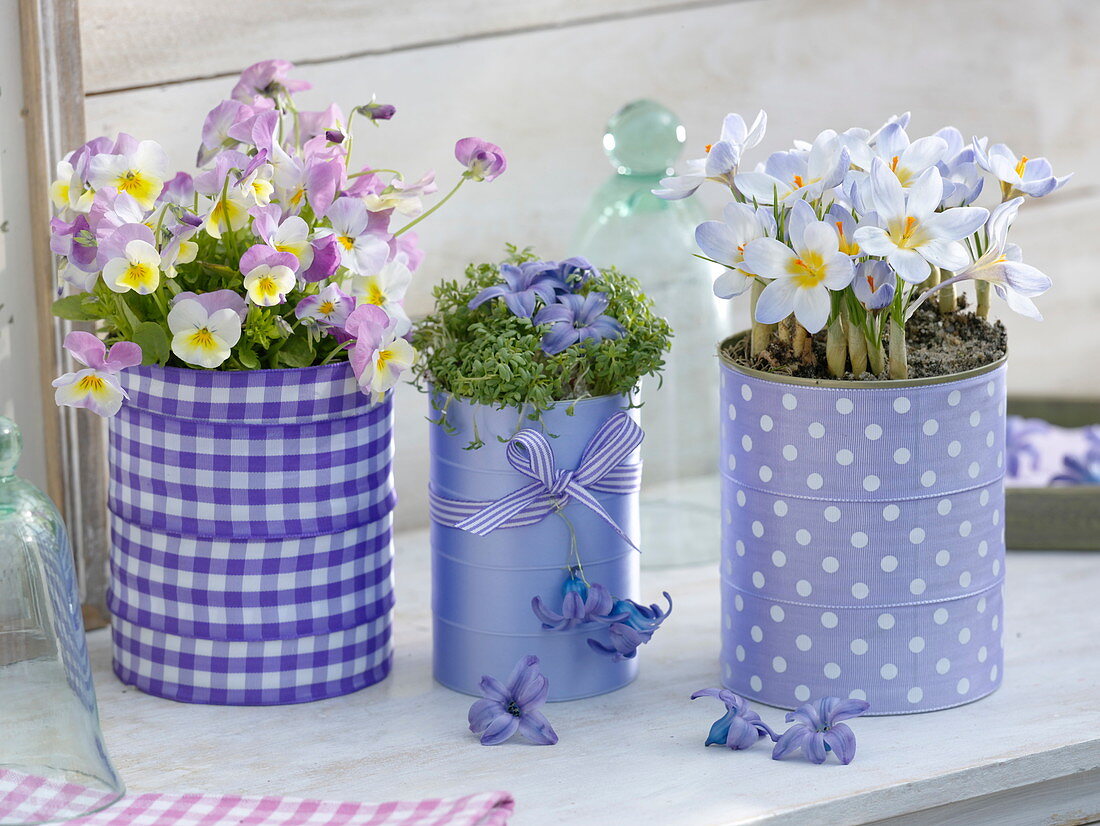 Tin cans spiced up with purple bow ribbons