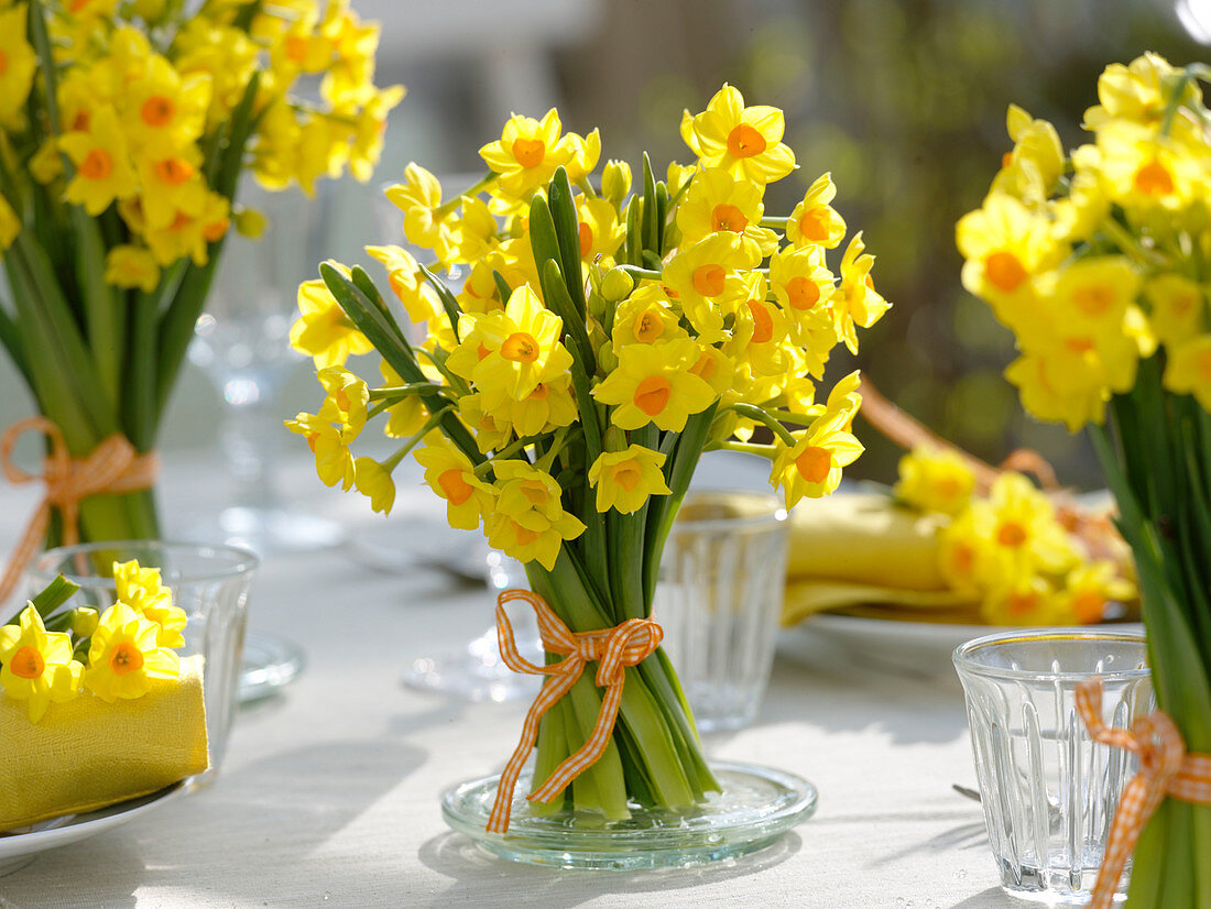 Fragrant table decoration with Tazett daffodil