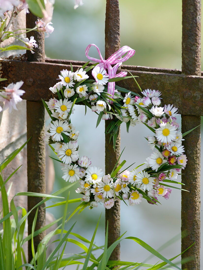 Heart of daisies