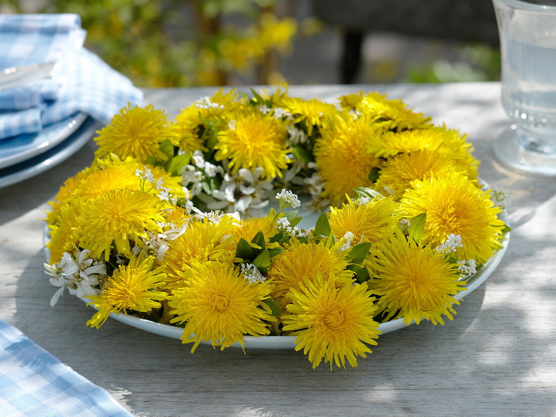 Frühlingskranz aus Löwenzahn, Waldmeister und Felsenbirne (2/2)