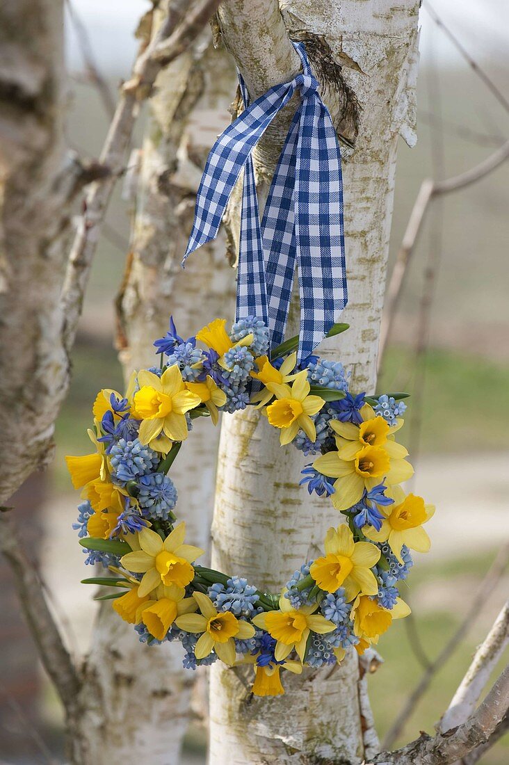 Kleiner blau-gelber Frühlingskranz aus Narcissus (Narzissen), Muscari