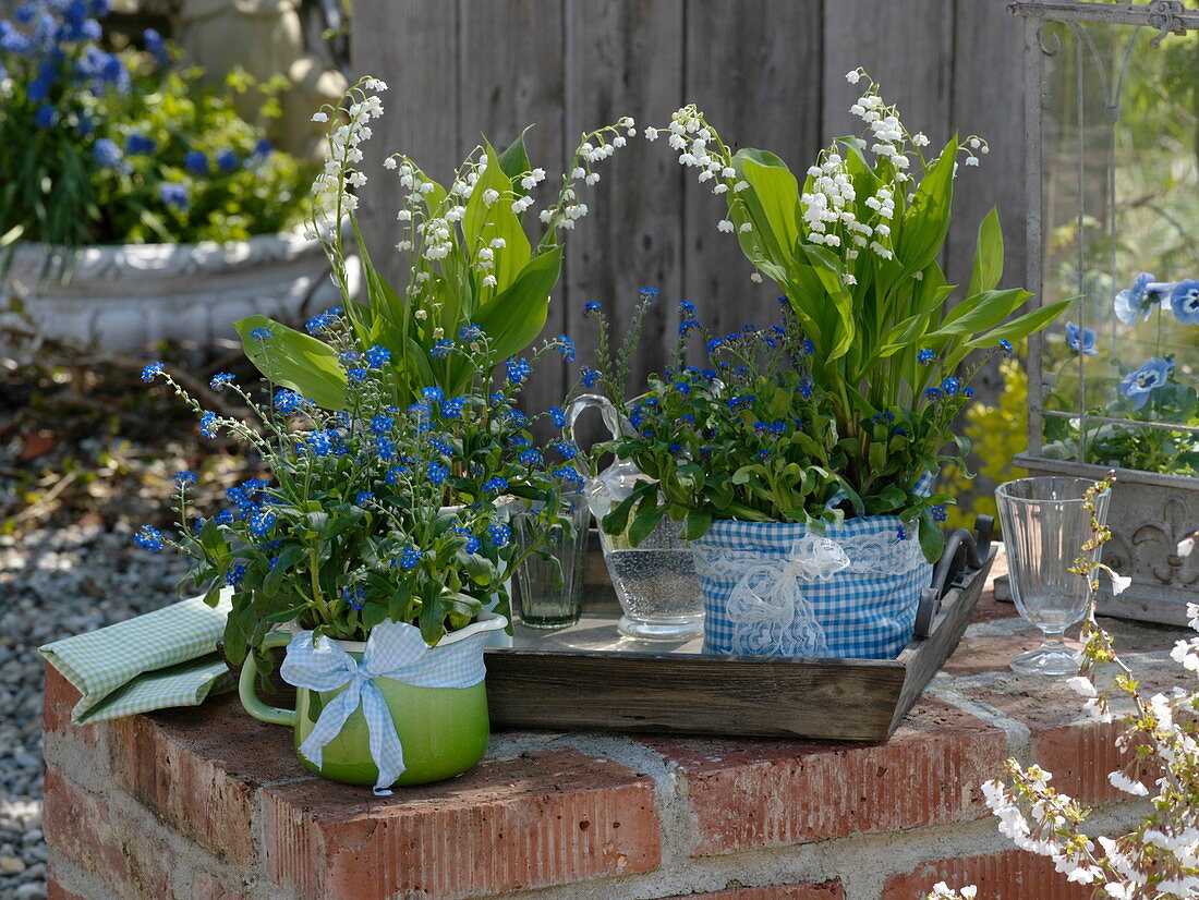 Myosotis (forget-me-not), Convallaria majalis (lily-of-the-valley)