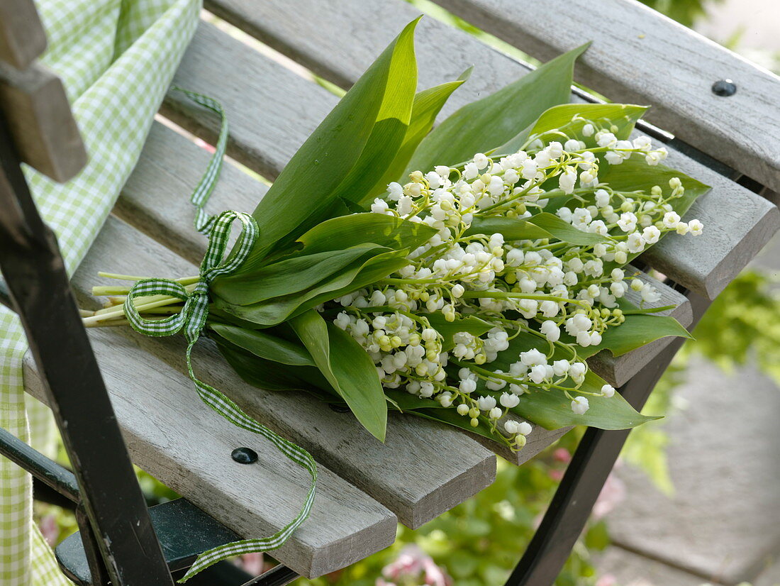 Small Convallaria majalis (lily of the valley) bouquet