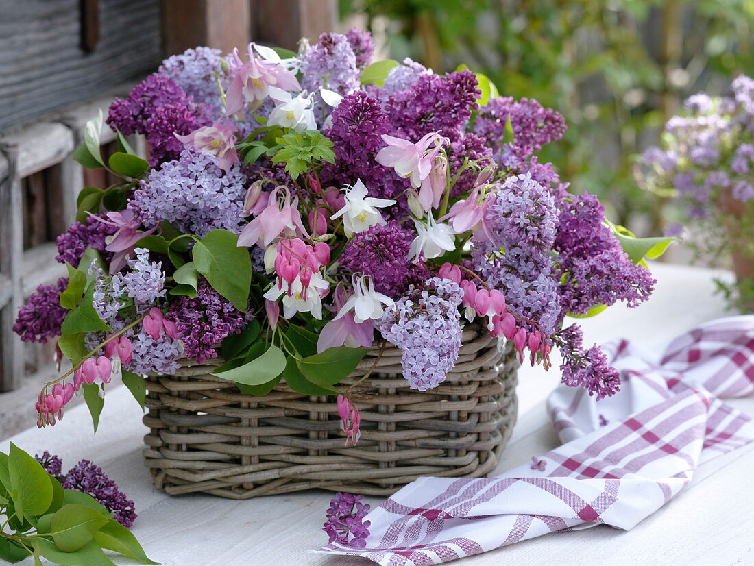 Lilac, columbine and bleeding heart in the basket