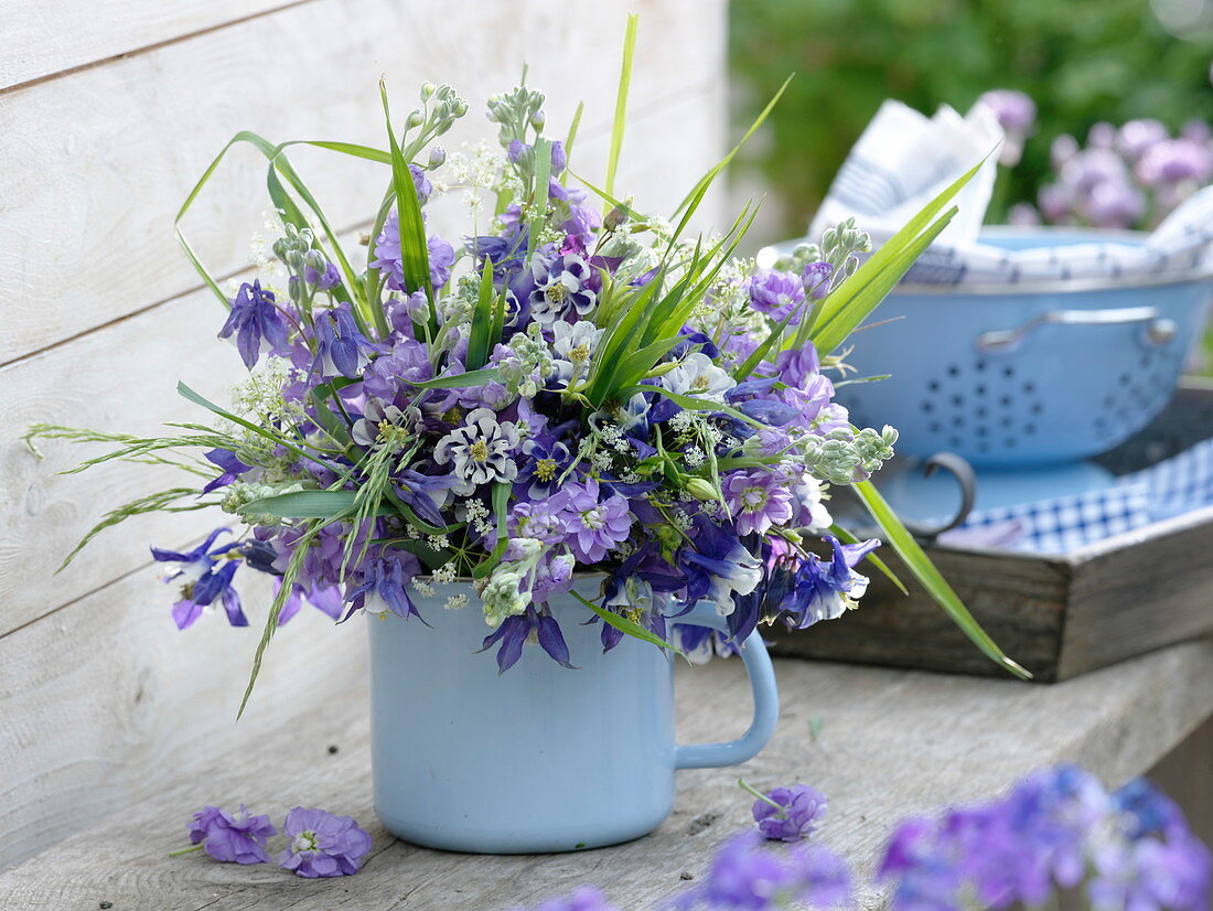 Aquilegia (Akelei), Matthiola incana (Levkojen) und Gräser