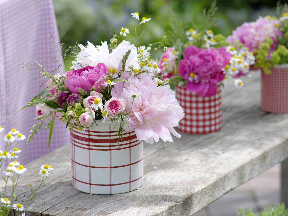 Kleine Sträuße aus Paeonia (Pfingstrosen), Rosa (Rosen), Matricaria