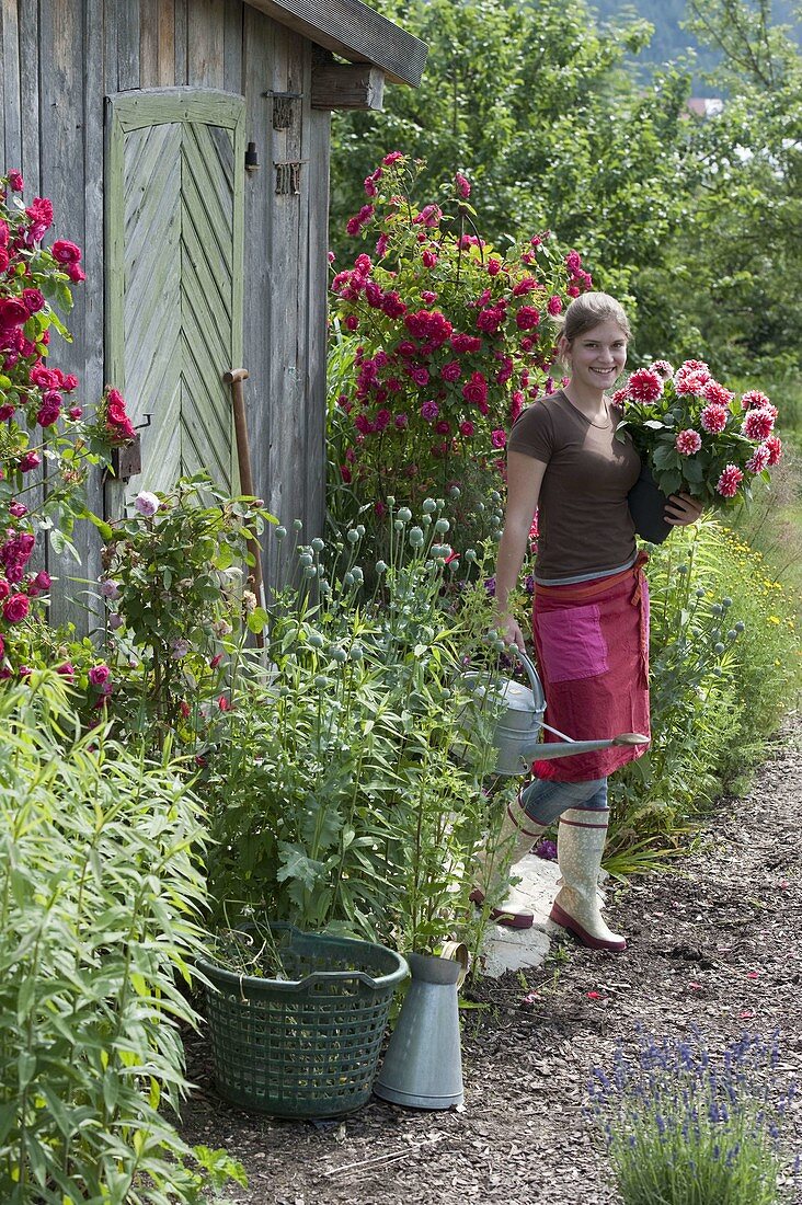 Young woman with dahlia (dahlia) and watering can in front of garden house