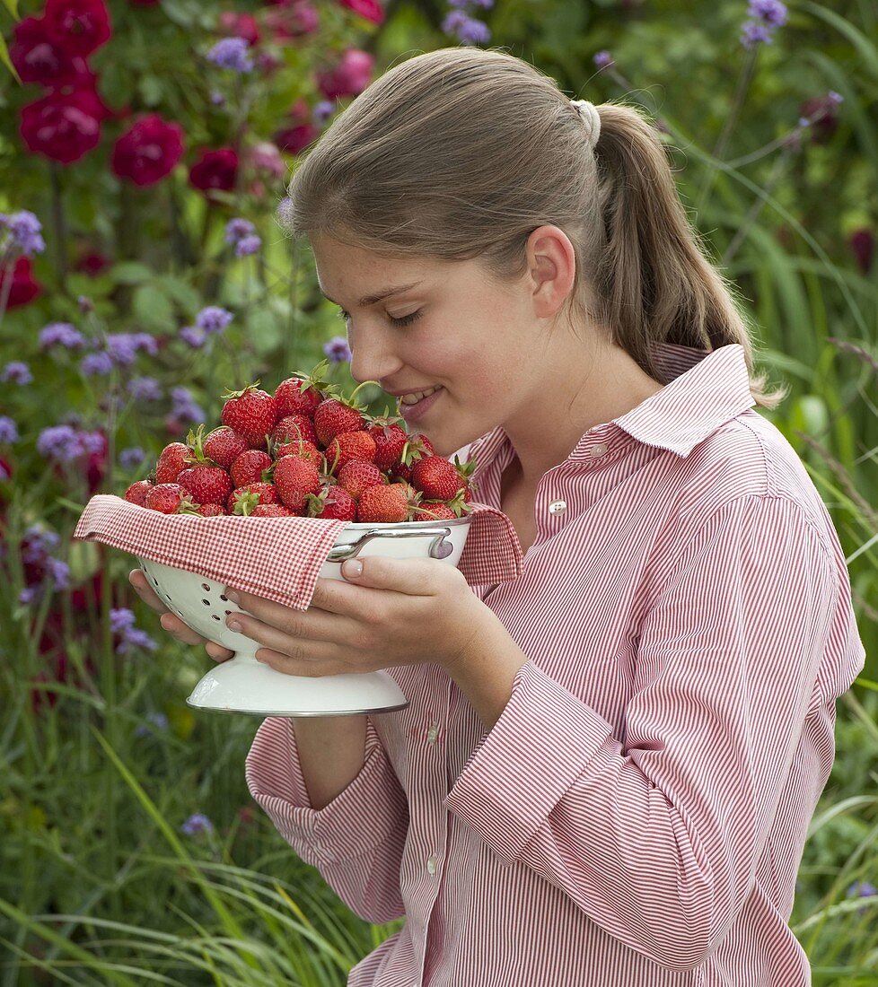 Junge Frau genießt den Duft von frisch gepflückten Erdbeeren (Fragaria)