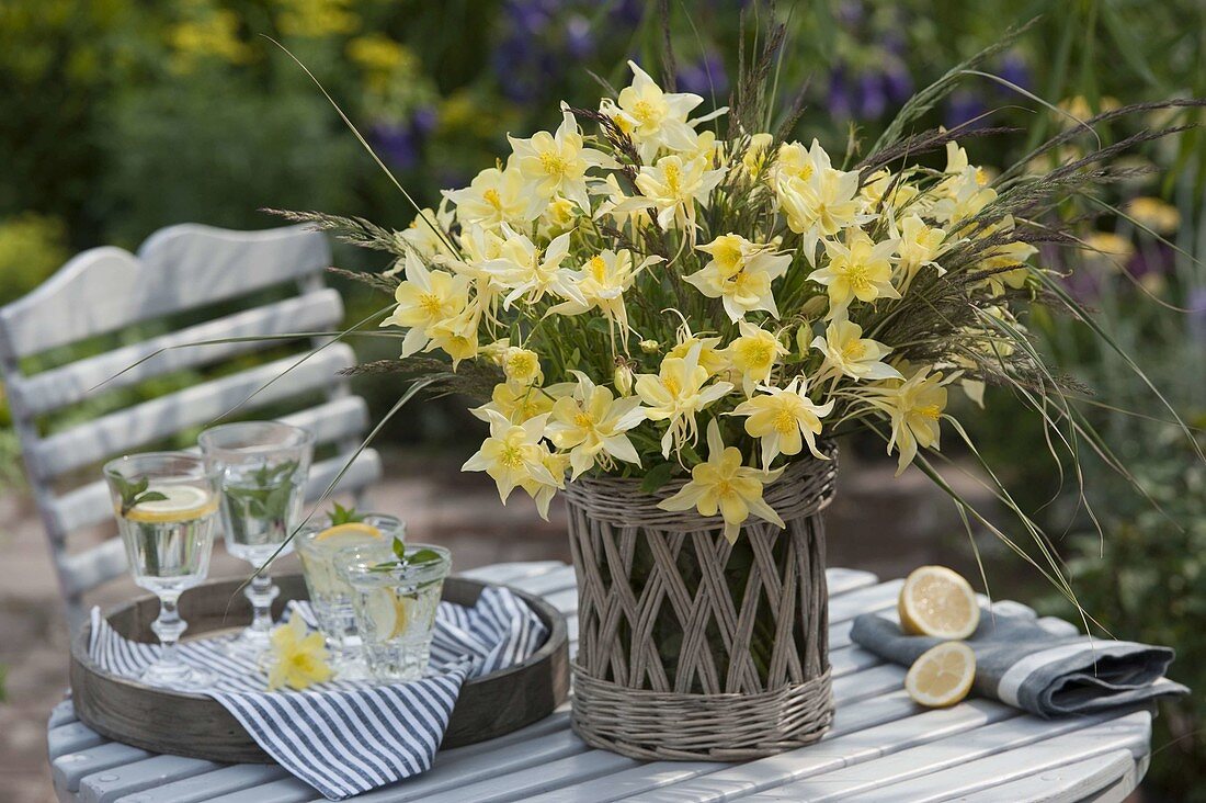 Strauß aus Aquilegia chrysantha 'Yellow Queen' (Gold - Akelei) und Gräsern