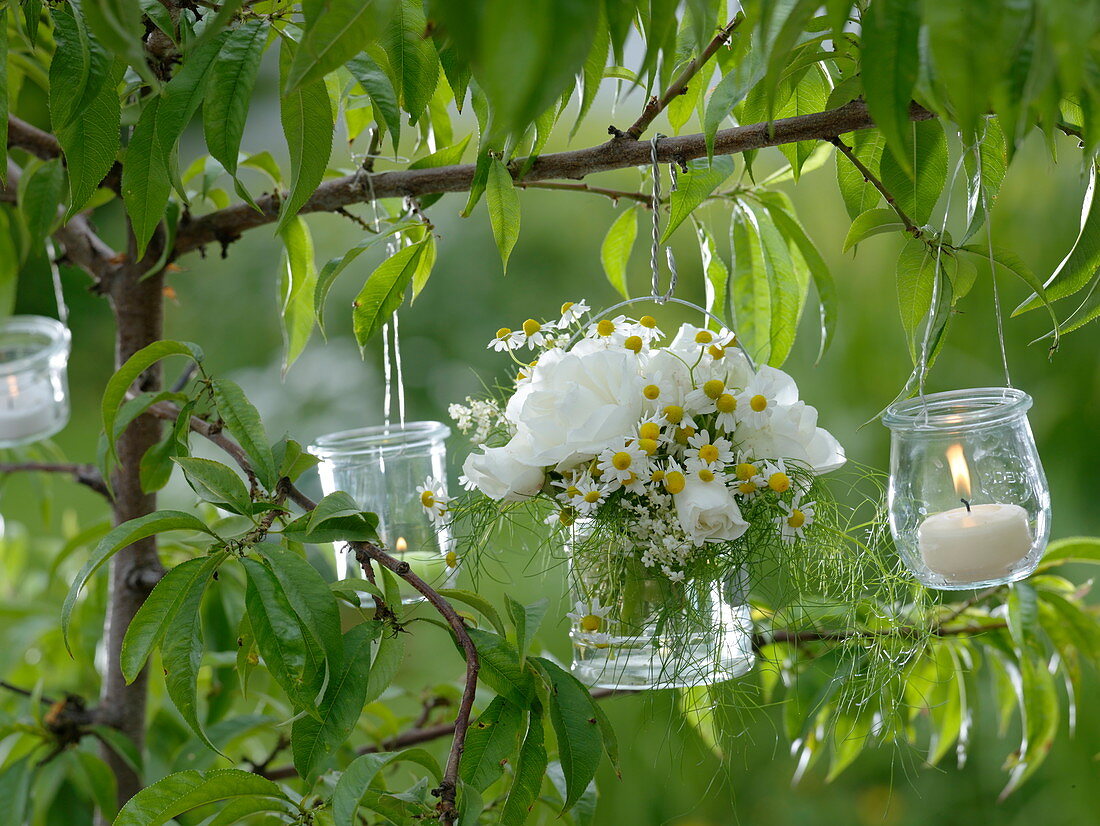 Weißer Kräuterstrauß im Glas und kleine Windlichter an Baum gehängt : 2/2
