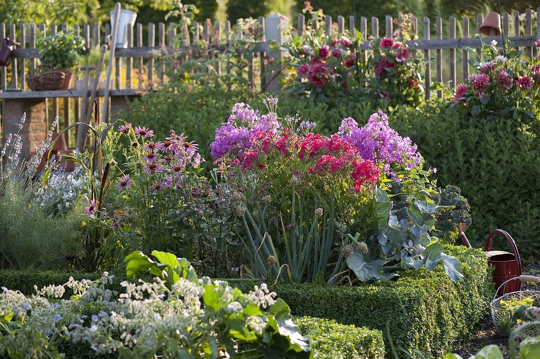 Cottage Garden With Perennials Buy Image 12166919 Living4media