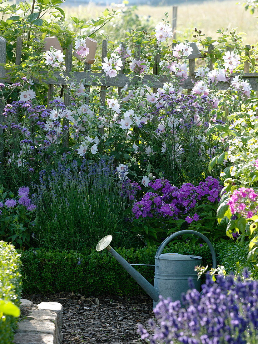 Bauerngarten mit Malvenbeet