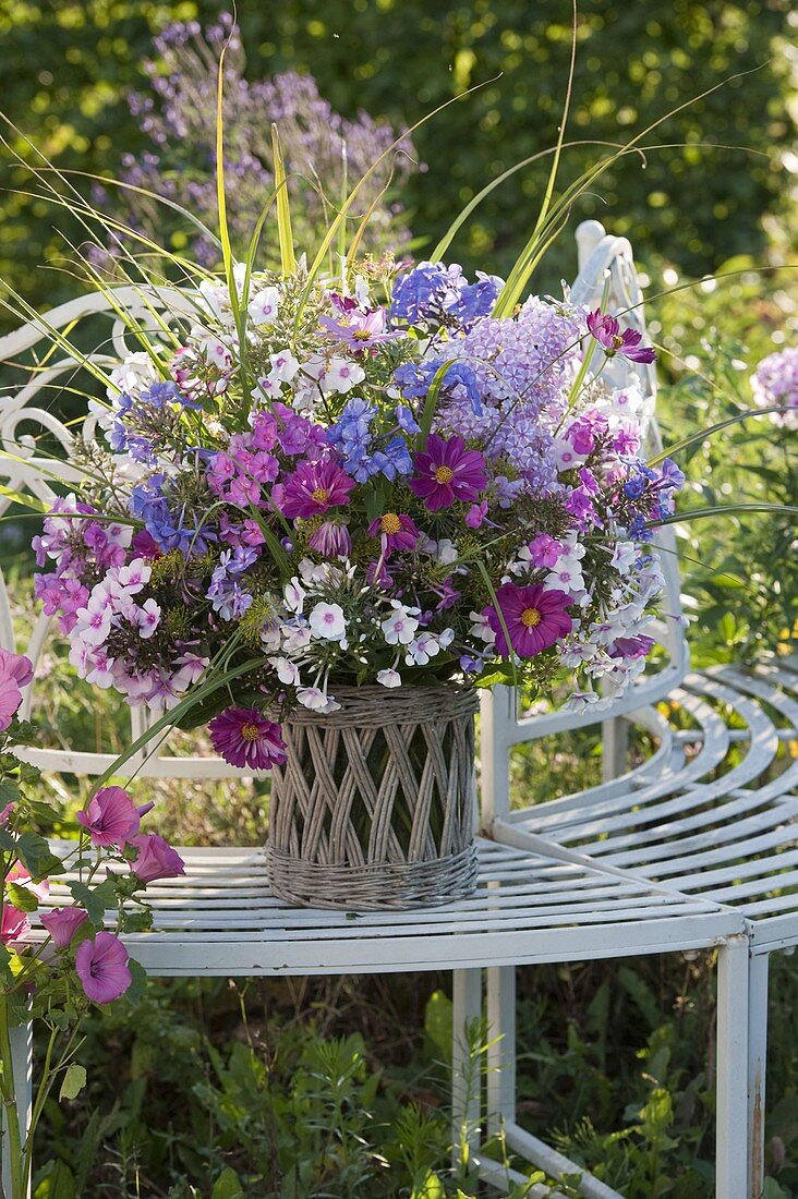 Duftender Strauß aus Phlox (Flammenblumen), Cosmos (Schmuckkörbchen)